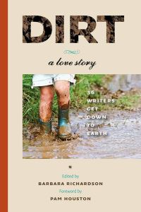 Book Cover for Dirt by Pam Houston