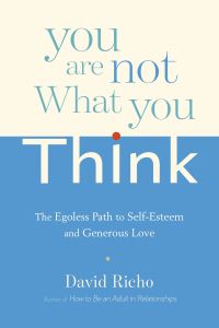 Book Cover for You Are Not What You Think by David Richo