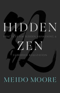 Book Cover for Hidden Zen by Meido Moore
