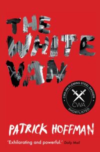Book Cover for The White Van by Patrick Hoffman