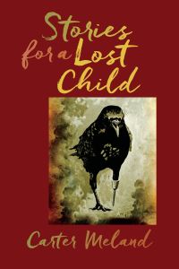 Book Cover for Stories for a Lost Child by Carter Meland