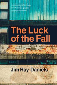 Book Cover for The Luck of the Fall by Jim Daniels