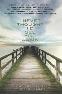 Book Cover for I Never Thought I'd See You Again by Lou Aronica
