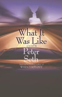 Book Cover for What It Was Like by Peter Seth