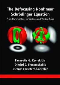 Book Cover for The Defocusing Nonlinear Schrödinger Equation by Panayotis G Kevrekidis, Dimitri J Frantzeskakis, Ricardo CarreteroGonzález