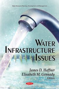 Book Cover for Water Infrastructure Issues by James D Haffner, Elizabeth M Gennady