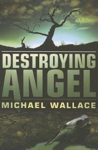 Book Cover for Destroying Angel by Michael Wallace