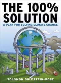 Book Cover for The 100% Solution by Solomon GoldsteinRose