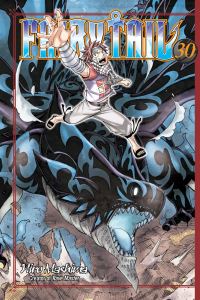 Book Cover for Fairy Tail 30 by Hiro Mashima