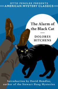Book Cover for The Alarm of the Black Cat by Dolores Hitchens