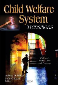 Book Cover for Child Welfare System by Aubrey D Wilson, Sally G Ryan