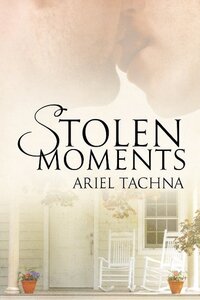 Book Cover for Stolen Moments by Amy Lane