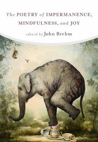 Book Cover for The Poetry of Impermanence, Mindfulness, and Joy by John Brehm