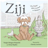 Book Cover for Ziji by Yongey Mingyur, Torey L Hayden