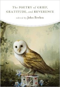 Book Cover for The Poetry of Grief, Gratitude, and Reverence by John Brehm