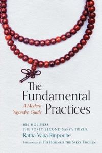 Book Cover for The Fundamental Practices by Ratna Vajra