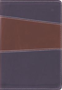 Book Cover for The Message//REMIX (Leather-Look, Brown/Navy) by Eugene H Peterson