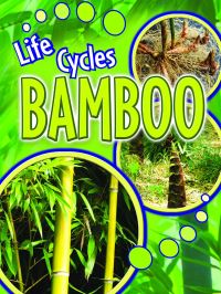 Book Cover for Bamboo by Julie Lundgren