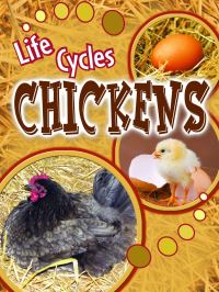 Book Cover for Chickens by Julie Lundgren