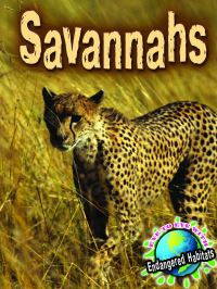Book Cover for Savannahs by Precious Mckenzie