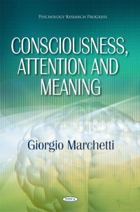 Book Cover for Consciousness, Attention and Meaning by Giorgio Marchetti
