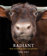 Book Cover for Radiant by Traer Scott