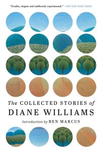 Book Cover for The Collected Stories of Diane Williams by Diane Williams