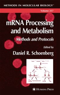 Book Cover for mRNA Processing and Metabolism by Daniel R Schoenberg