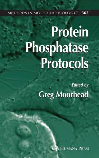 Book Cover for Protein Phosphatase Protocols by Greg Moorhead