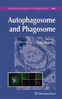 Book Cover for Autophagosome and Phagosome by Vojo Deretic