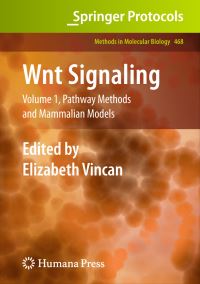 Book Cover for Wnt Signaling by Elizabeth Vincan