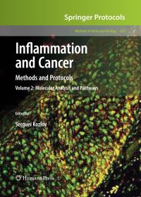 Book Cover for Inflammation and Cancer Volume 2 Molecular Analysis and Pathways by Serguei V Kozlov