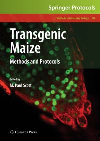 Book Cover for Transgenic Maize by M Paul Scott