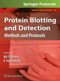 Book Cover for Protein Blotting and Detection by Biji T Kurien, R Hal Scofield