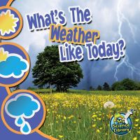 Book Cover for What's The Weather Like Today? by Conrad J Storad