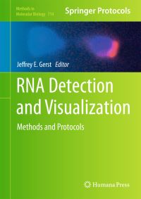Book Cover for RNA Detection and Visualization by Jeffrey E Gerst