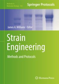 Book Cover for Strain Engineering by James A Williams