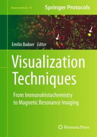 Book Cover for Visualization Techniques by Emilio Badoer