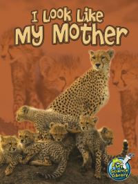 Book Cover for I Look Like My Mother by Julie Lundgren