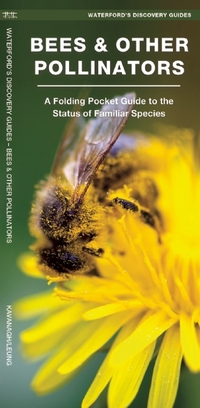 Book Cover for Bees & Other Pollinators by James Kavanagh