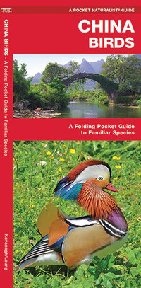 Book Cover for China Birds by James Kavanagh, Waterford Press