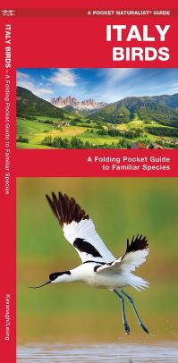Book Cover for Italy Birds by James Kavanagh, Waterford Press