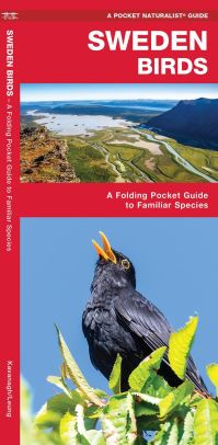 Book Cover for Sweden Birds by James Kavanagh, Waterford Press