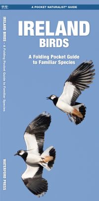 Book Cover for Ireland Birds by James Kavanagh, Waterford Press