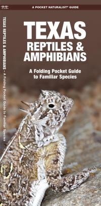 Book Cover for Texas Reptiles & Amphibians by James Kavanagh