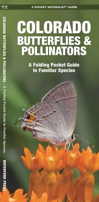 Book Cover for Colorado Butterflies & Pollinators by James Kavanagh