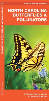 Book Cover for North Carolina Butterflies & Pollinators by James Kavanagh