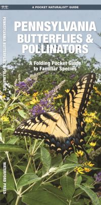 Book Cover for Pennsylvania Butterflies & Pollinators by James Kavanagh