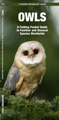 Book Cover for Owls by James Kavanagh