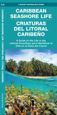 Book Cover for Caribbean Seashore Life (Criaturas Del Litoral Caribeno) by Waterford Press